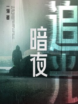 暗夜追光暗夜追光